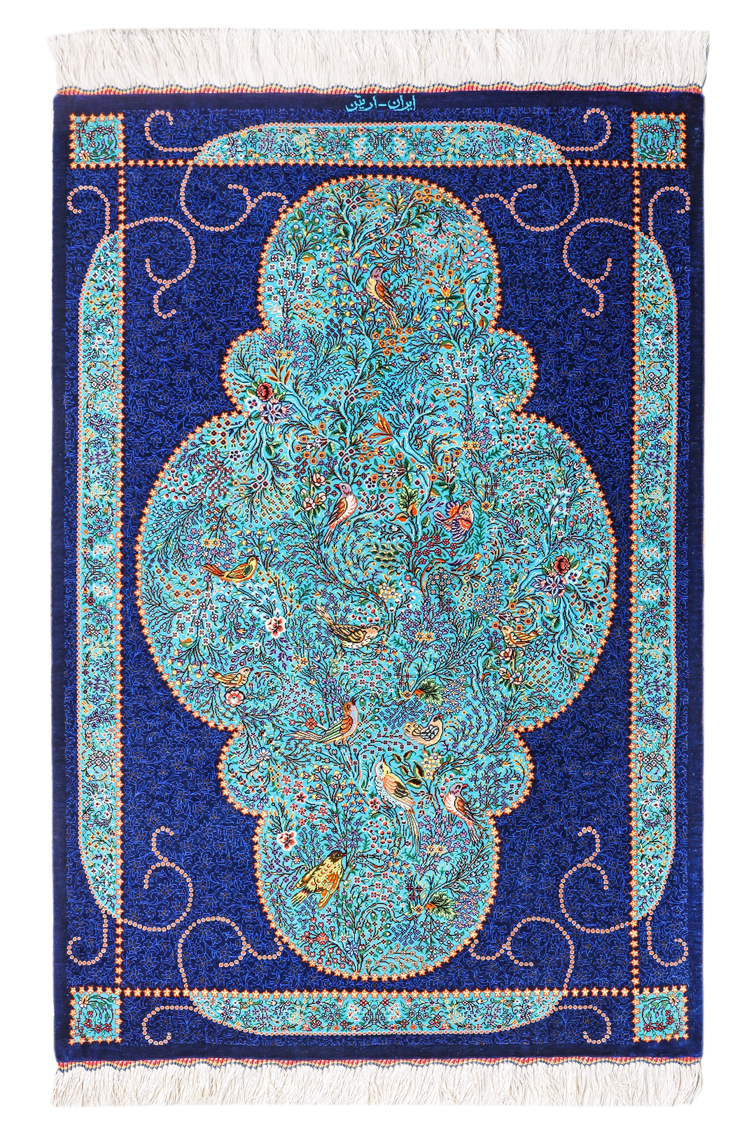 زار وتشارك (الرمز: 59025)