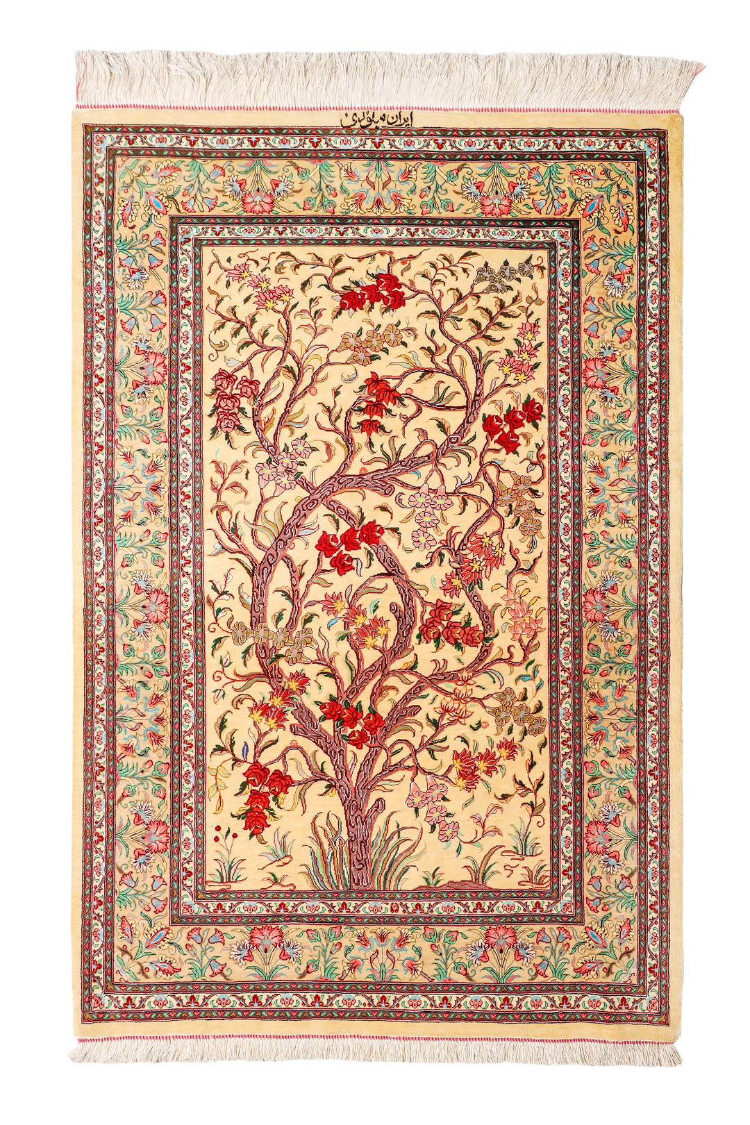 زر وتشارك (الرمز: 59193)