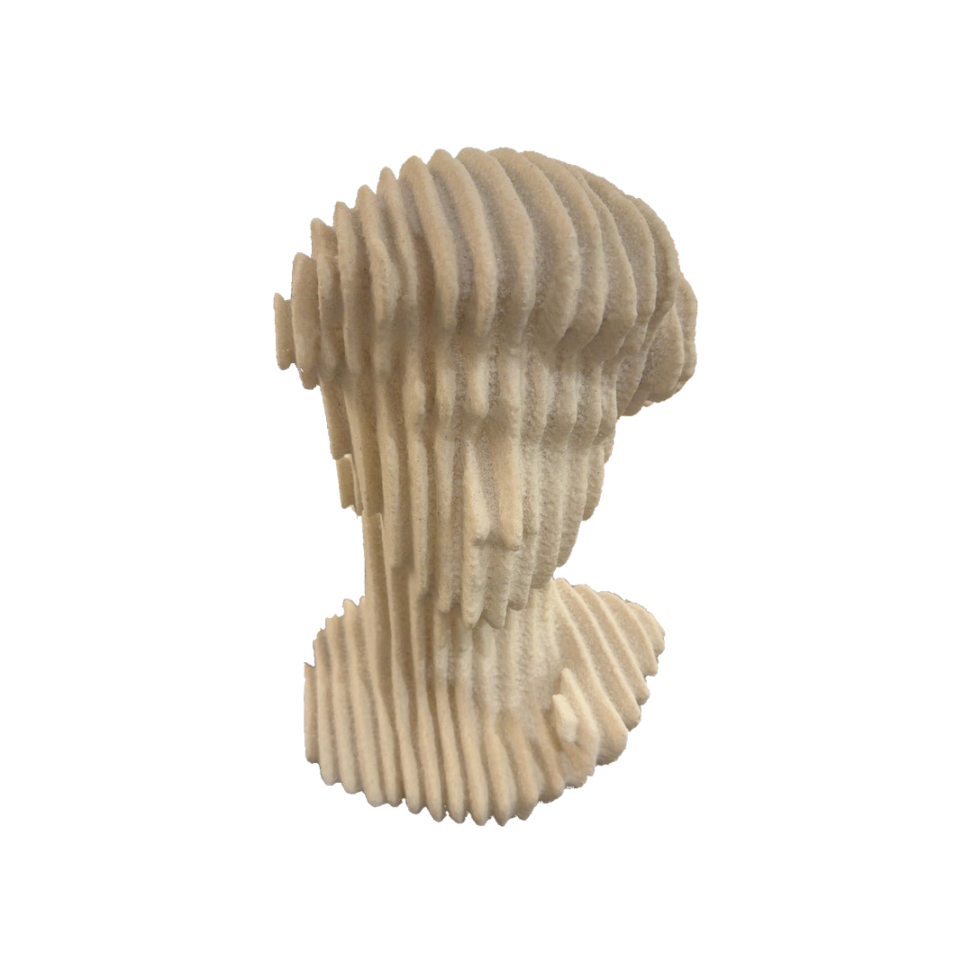 Contour Bust Sculpture — isolated product photograph