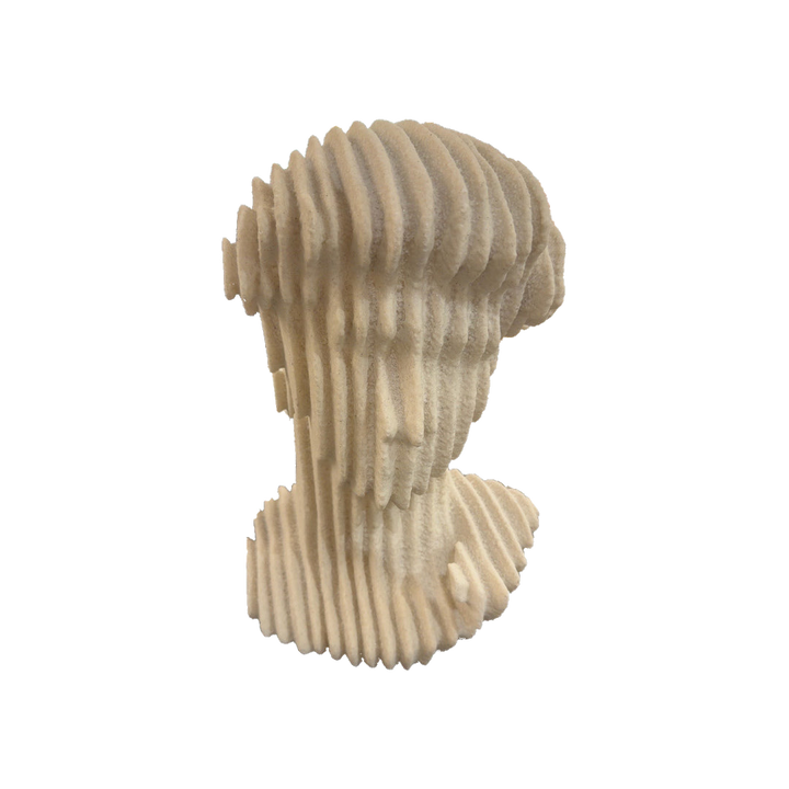 Contour Bust Sculpture — isolated product photograph